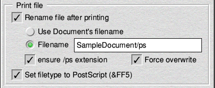 Print file options